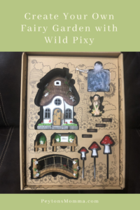Fairy Garden Wild Pixy
