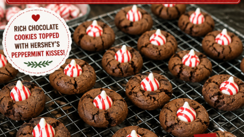 Chocolate Peppermint Blossom Cookies (Easy Christmas Cookie Recipe
