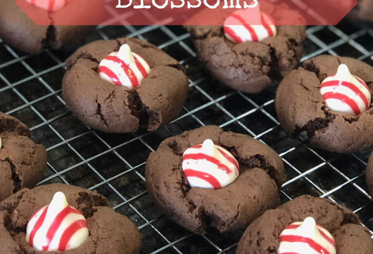 Hershey’s Peppermint Kiss Chocolate Blossoms