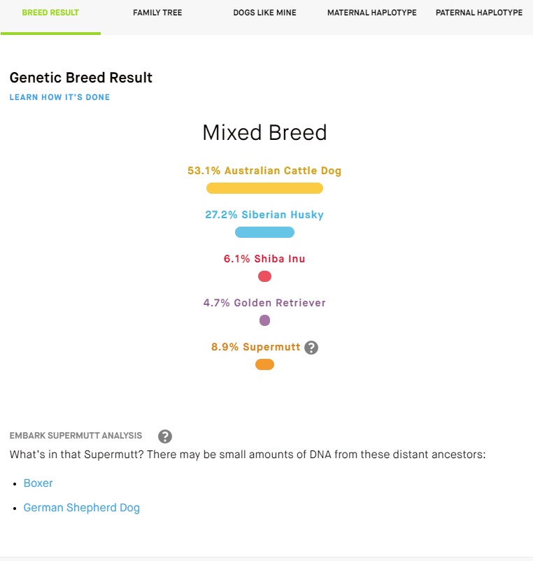 Embark Experience Results